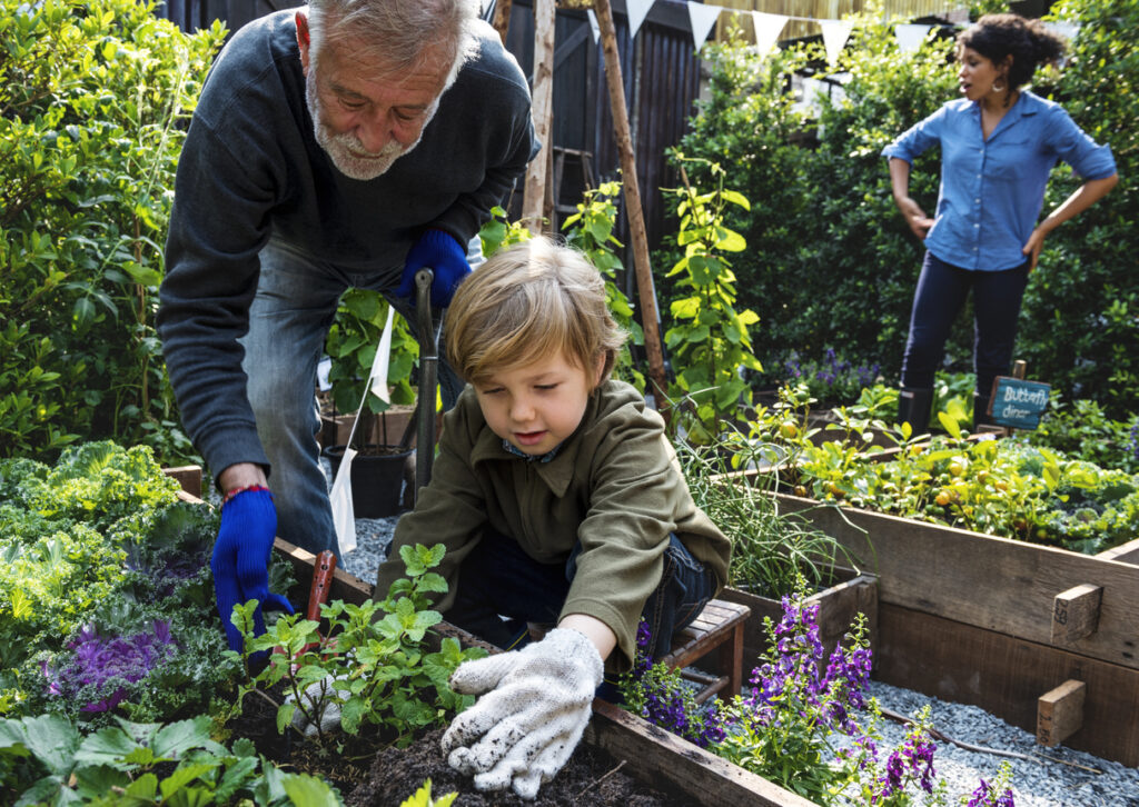 Family planting garden beds