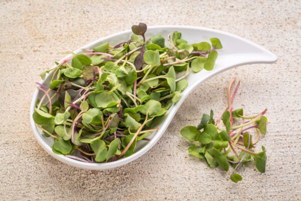 Microgreens