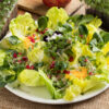 Vegetable salad with freshly grown kale and broccoli microgreens