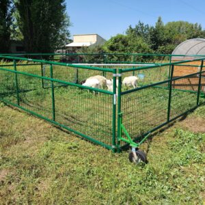 Mobile Sheep Pen