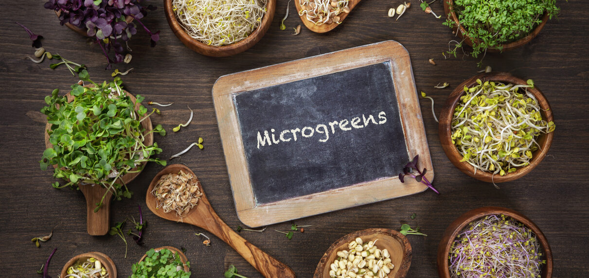 Different types of microgreens