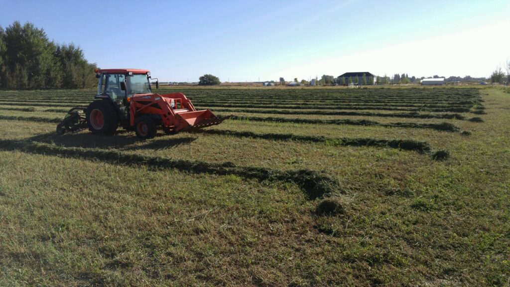 Tractor Windrow