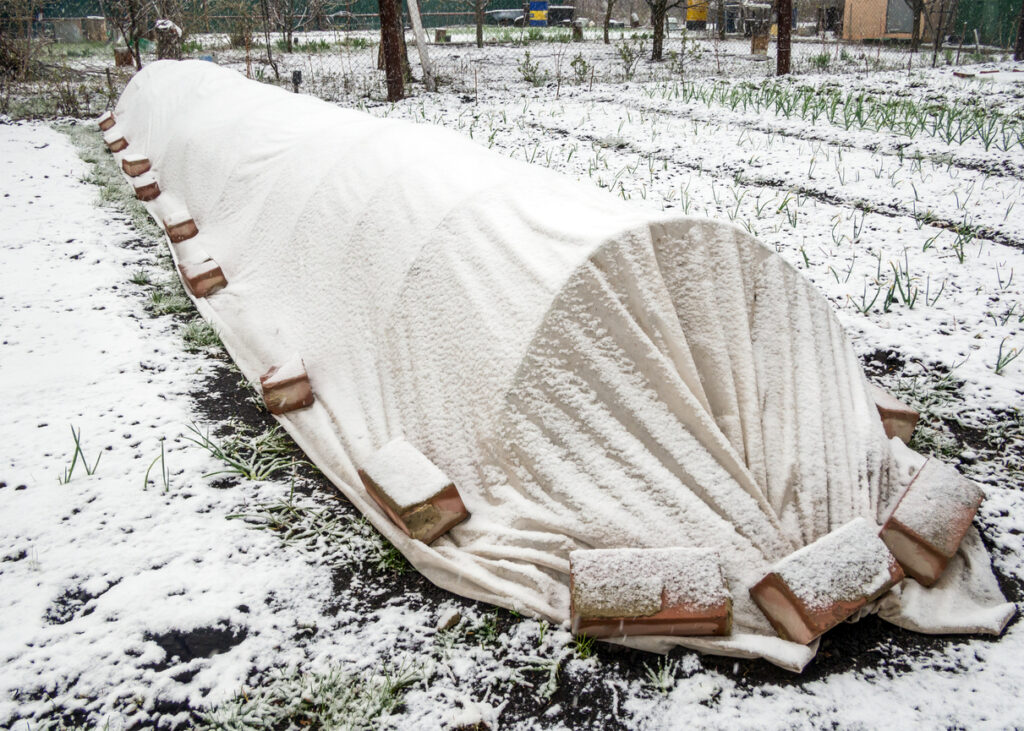 Snow on garden row cover